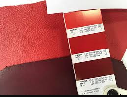 Leder Reparatur Farbe                Standardfarben                            Schwarz/Grau/Blau/Rot
